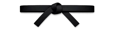 The Black Belt belt