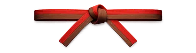 The Challenge Master belt